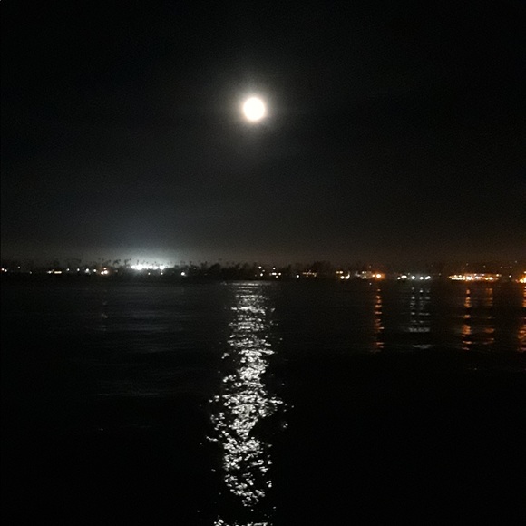 Meet your Posher, Tammy - Picture 7 of 7